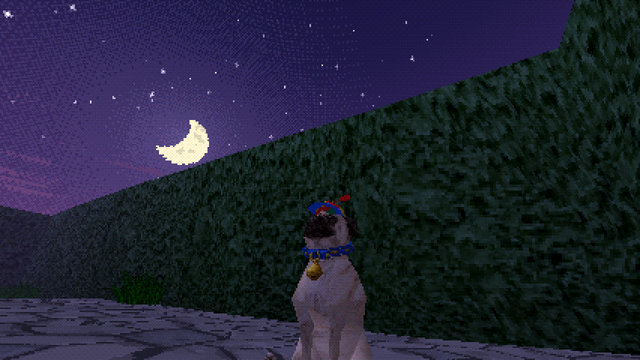 A pug in a propeller cap under the moon