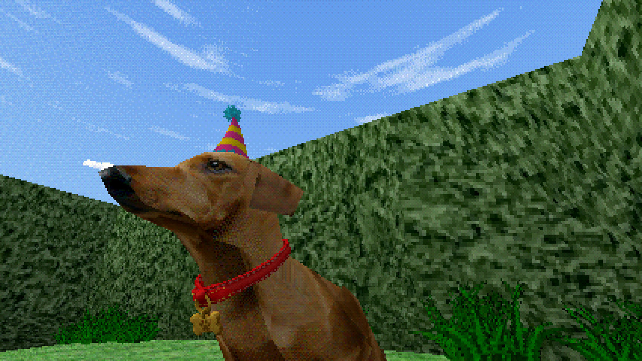 A dachshund in a striped party hat and red collar, posing in front of a tall green hedge