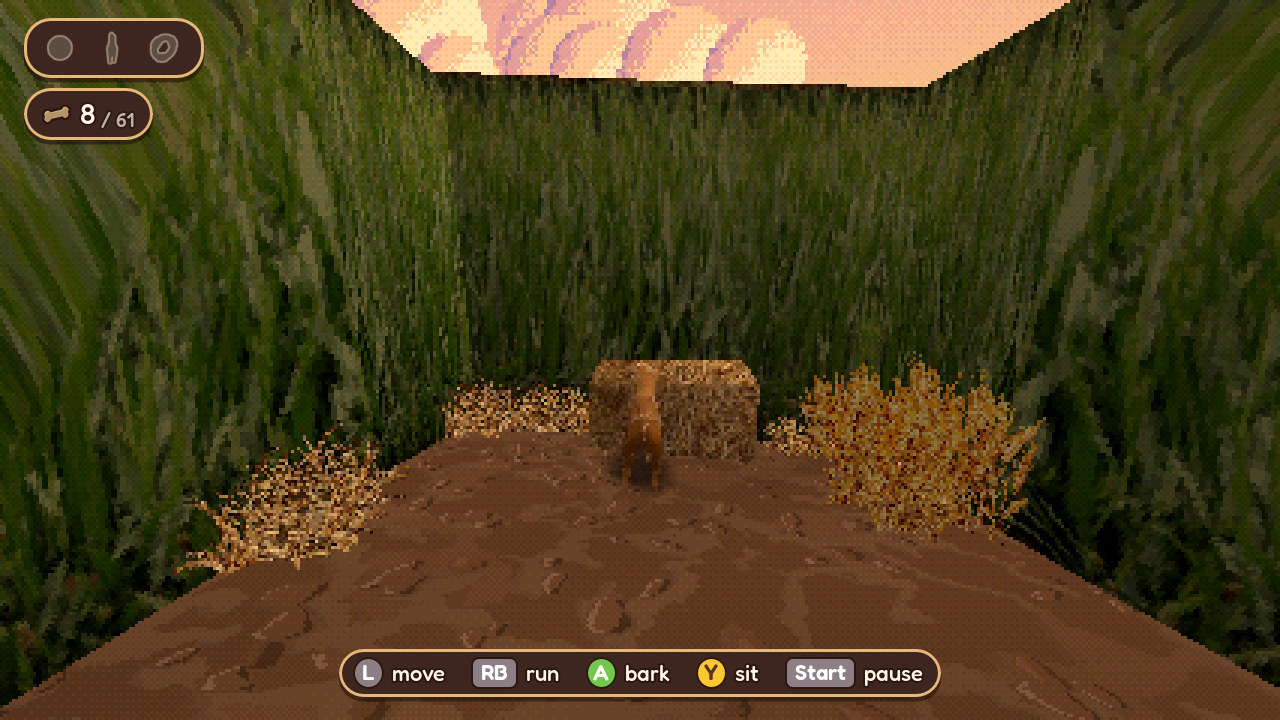 A dog in a flower crown and red bandana in front of tall corn at sunset